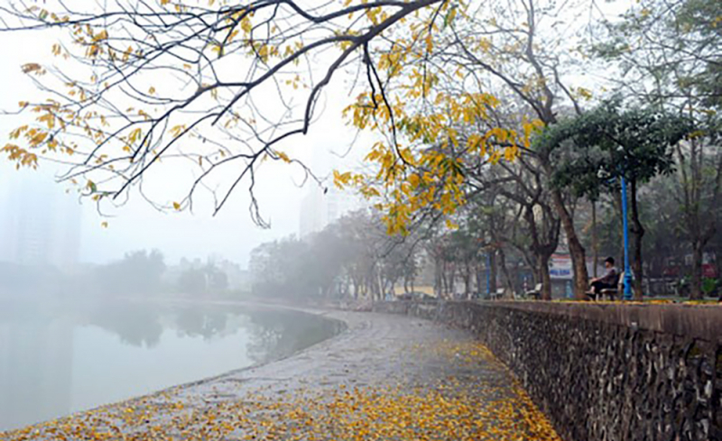 Miền Bắc mưa nhỏ và sương mù, Đà Nẵng vào Nam Bộ hửng nắng -0