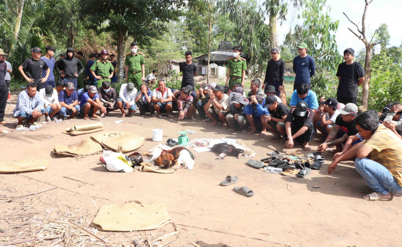 Bắt quả tang 36 đối tượng đá gà ngày ông Táo  -0