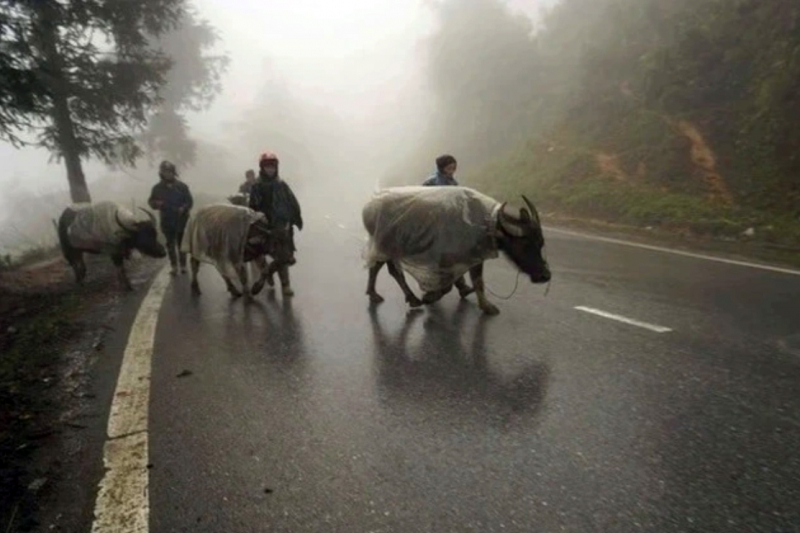 Hà Nội rét căm căm, miền Trung nơi mưa chỗ nắng -0