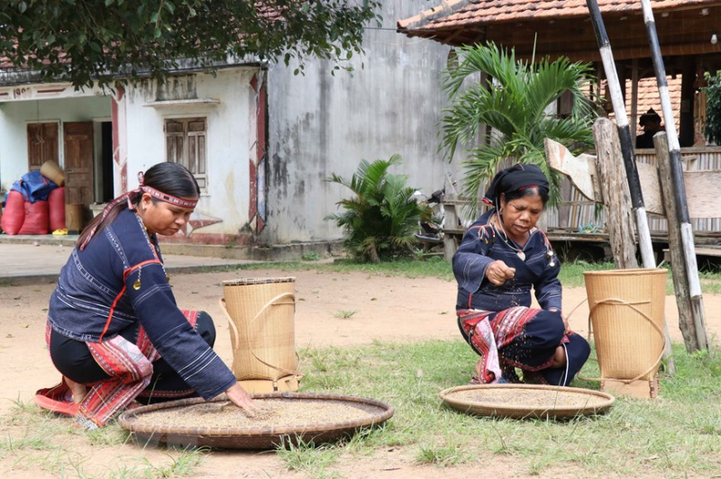 TET - Special wine of Bahnar people in Vietnam’s Central Highlands -3