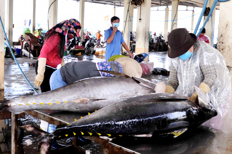 Ngư dân Nam Trung bộ vươn khơi bám biển xuyên Tết -0