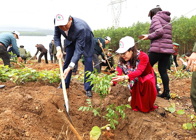 Trồng thêm 9.000 ha rừng giữ độ xe phủ rừng đứng thứ 2 toàn quốc  -0