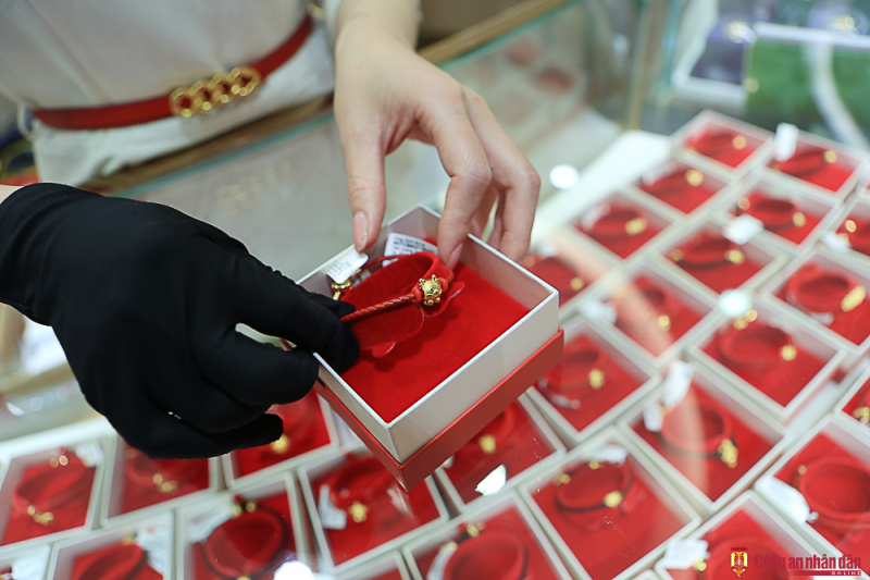 20230130-ntb_0020.jpg -0