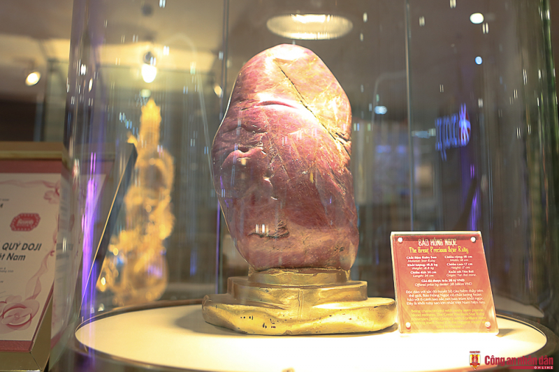 20230130-ntb_0059.jpg -0