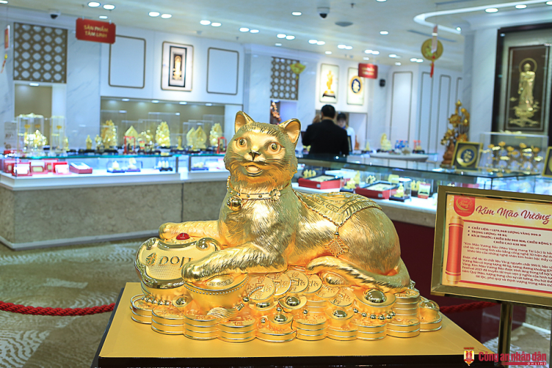 20230130-ntb_0066.jpg -0