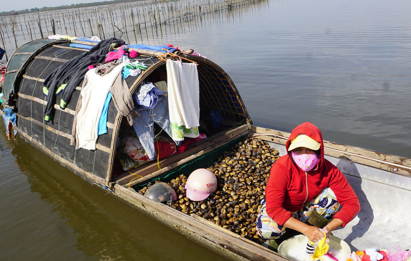 Xuân về trên phá Tam Giang -0