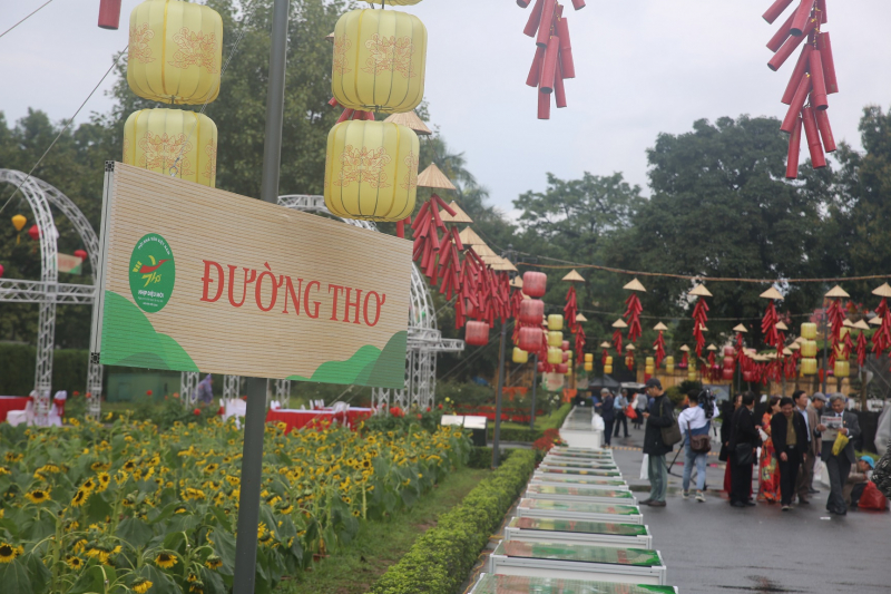Khách du xuân háo hức khám phá không gian tổ chức Ngày thơ Việt Nam -5