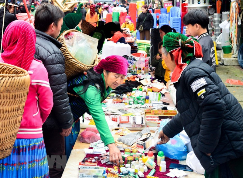 ttxvn_meo_vac_1.jpg -0