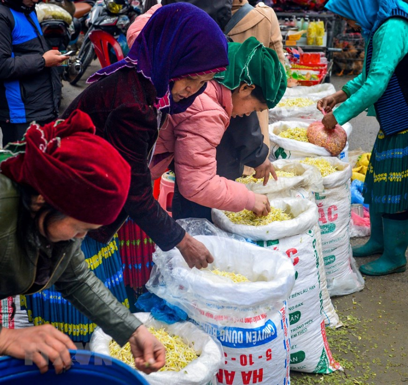 ttxvn_meo_vac_10.jpg -1