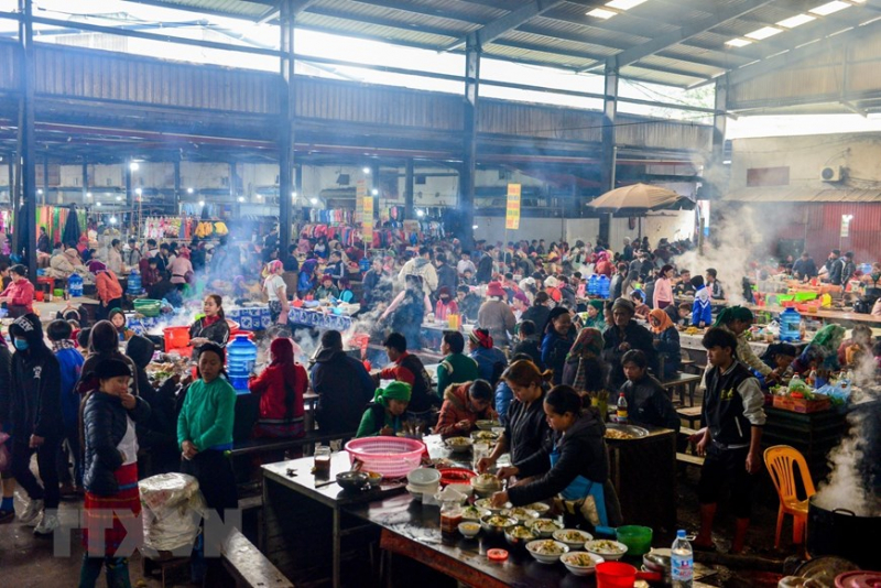 ttxvn_meo_vac_4.jpg -4