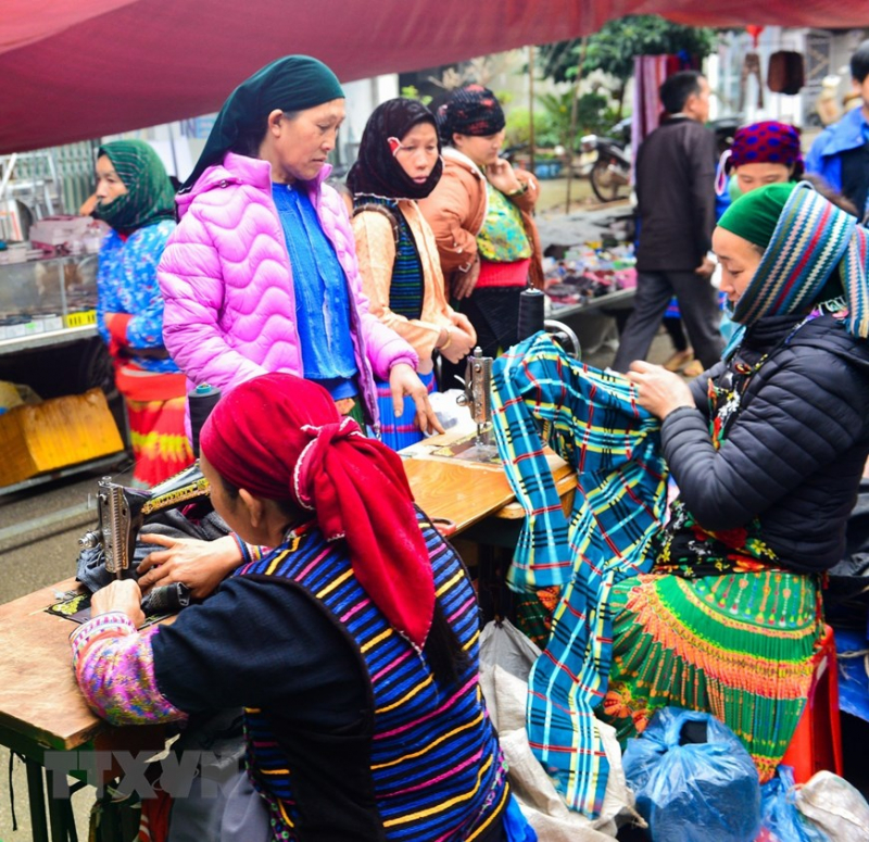 ttxvn_meo_vac_5.jpg -5