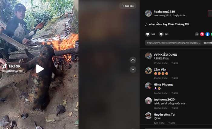 Giết hại động vật hoang dã rồi khoe trên mạng xã hội: Hành vi đáng bị lên án -0