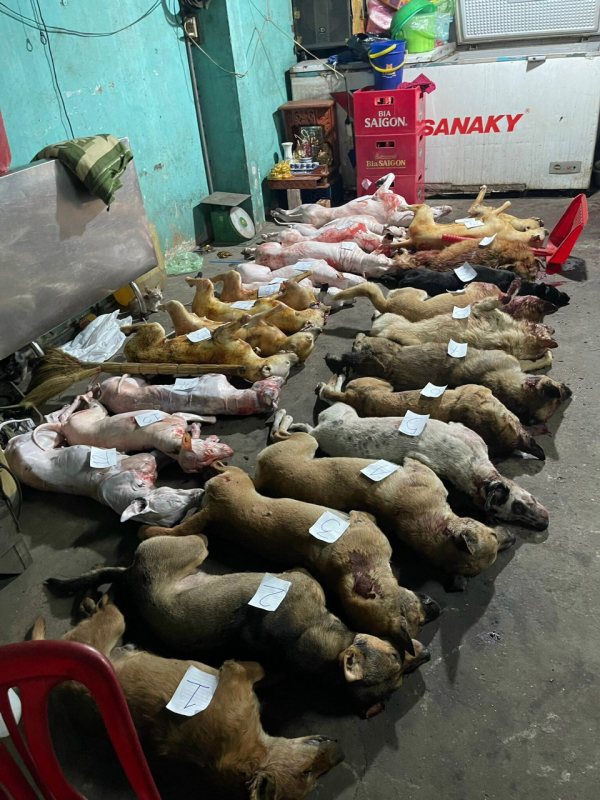 Trộm chó dùng bình xịt hơi cay, ớt bột tấn công tổ công tác 363 -2