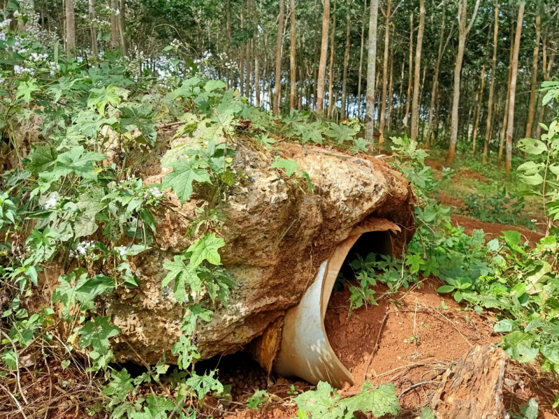 Ai chịu trách nhiệm sai phạm tại dự án cấp nước tưới cà phê gần 73 tỷ đồng? -0