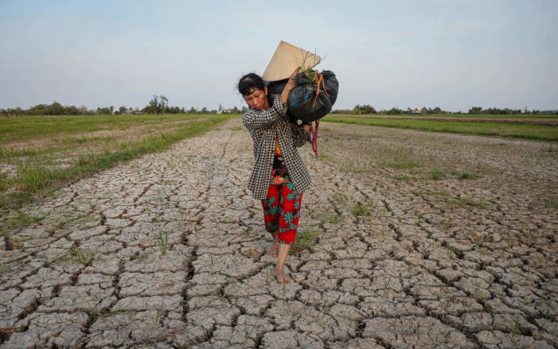 Xâm nhập mặn tiếp tục gia tăng -0