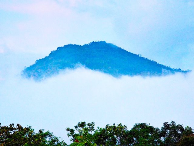 Bức tường lá đỏ Chùa Vạn Linh -0