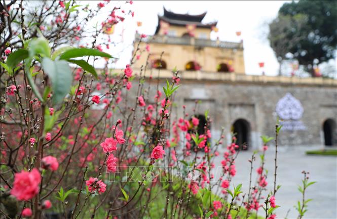 Hội thảo khoa học cấp quốc gia kỷ niệm 80 năm Đề cương về văn hóa Việt Nam sẽ diễn ra ngày 27/2 -0