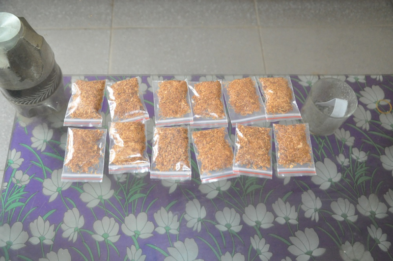 Khởi tố các đối tượng mua bán Cỏ Mỹ -0