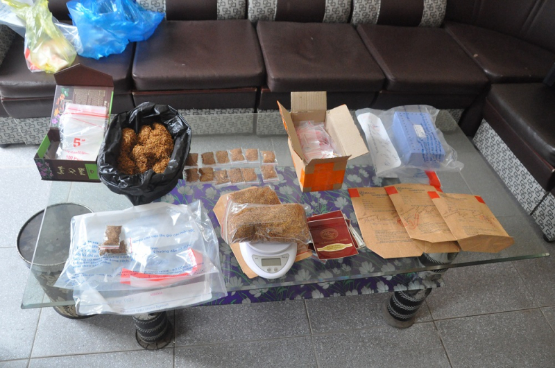 Khởi tố các đối tượng mua bán Cỏ Mỹ -1