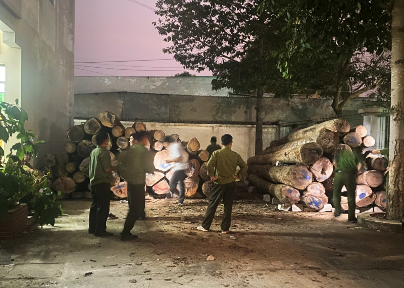 Khởi tố hình sự vụ chặt phá rừng phòng hộ -0