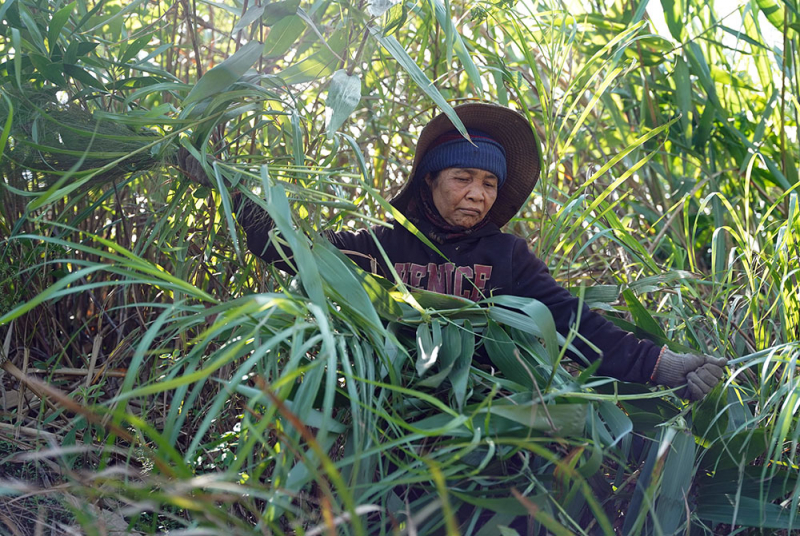 “Lộc rừng” giữa đại ngàn Trường Sơn -0