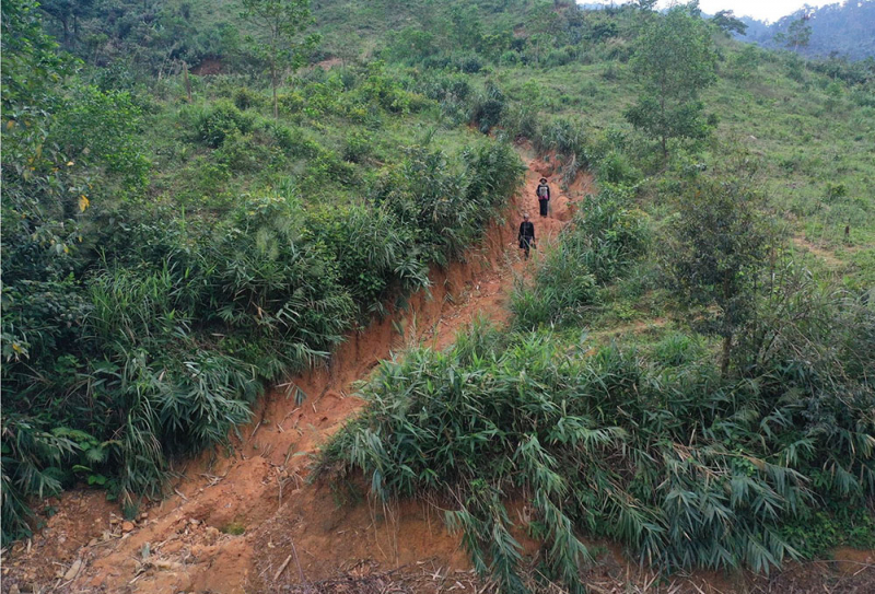 “Lộc rừng” giữa đại ngàn Trường Sơn -0