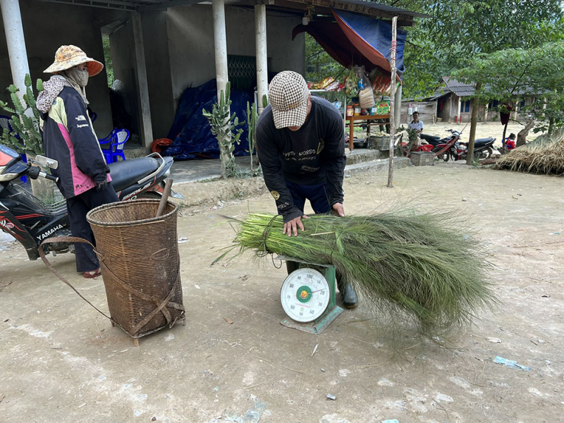 “Lộc rừng” giữa đại ngàn Trường Sơn -0