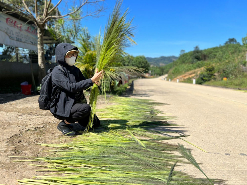 “Lộc rừng” giữa đại ngàn Trường Sơn -0