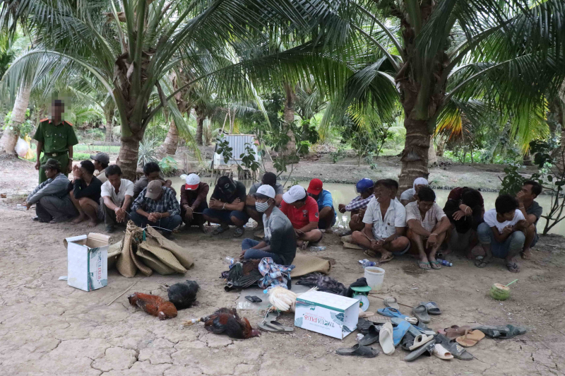 Bắt quả tang 22 đối tượng đá gà ăn tiền -0