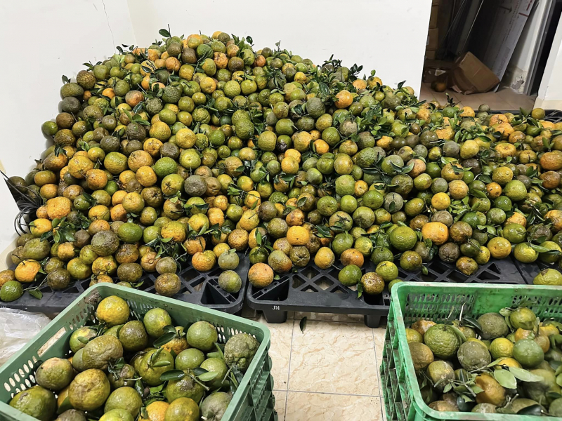 Nhiều đơn vị Công an chung tay hỗ trợ nông dân tiêu thụ hơn 60 tấn cam sành -0