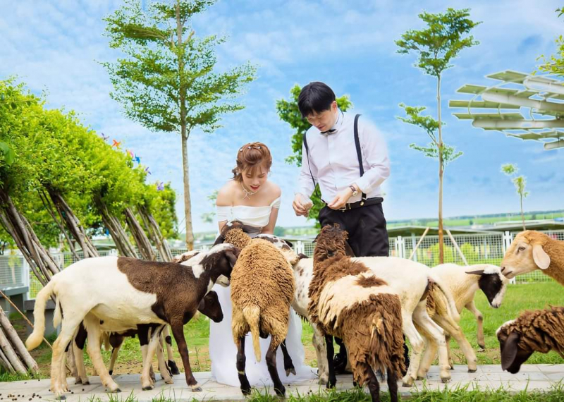 Điều chưa biết về địa điểm chụp ảnh cưới “hút” khách ở An Giang -0