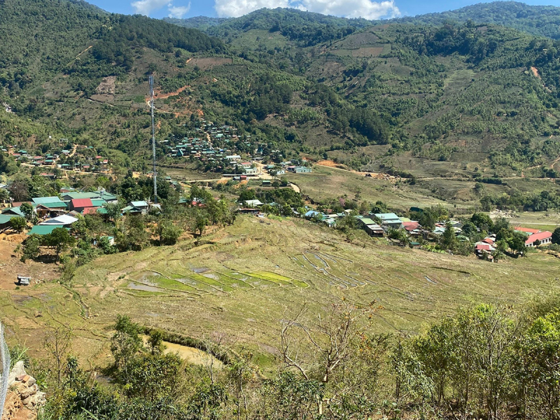 Chuyện làm giàu trên đỉnh Ngọc Linh -0