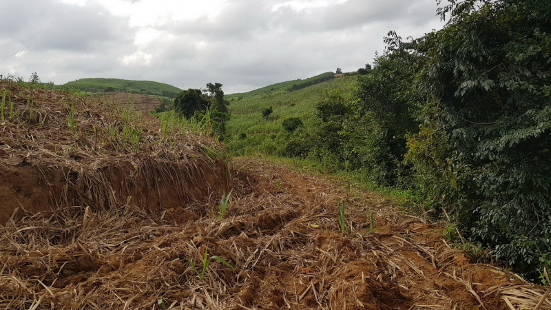           Gần 17 năm một dự án vẫn… nằm “đắp chiếu” -0