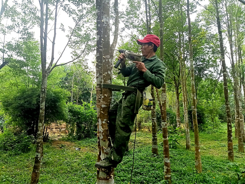 dotram-1.jpg -0