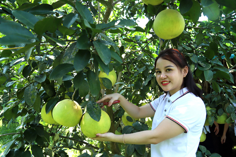 Về nơi thủ phủ dó trầm -0