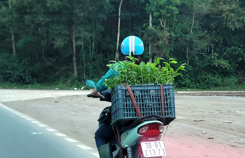 Về nơi thủ phủ dó trầm -0