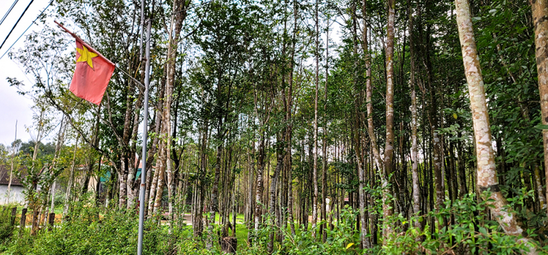 Về nơi thủ phủ dó trầm -0