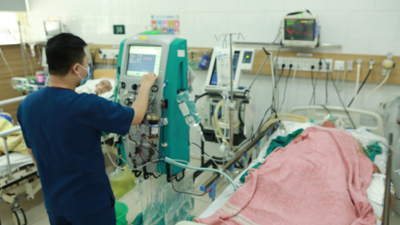 6 người trong gia đình ở Hoà Bình ngộ độc, 1 người tử vong do ăn loại nấm nào? -0