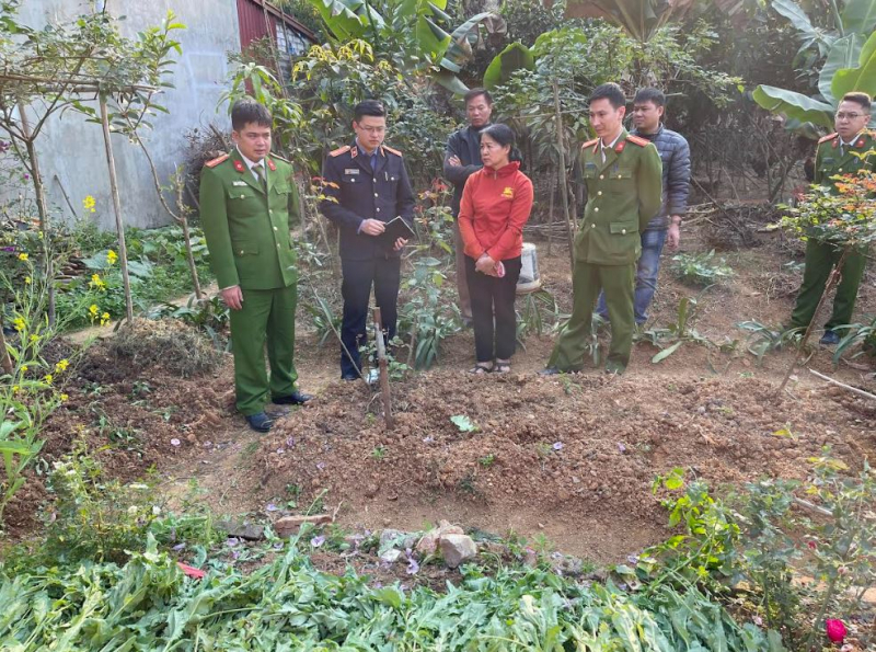 Canh tác cây thuốc phiện để… “chữa bệnh” -1