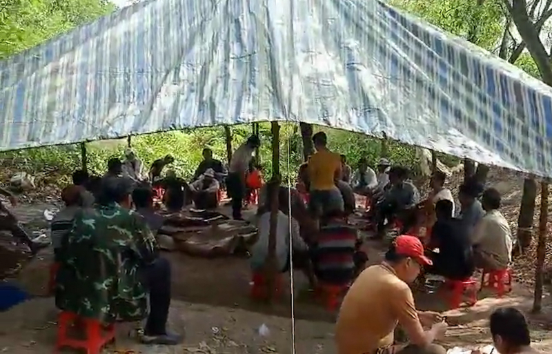 Triệt xóa trường gà giữa rừng đước, tạm giữ 170 triệu đồng -0