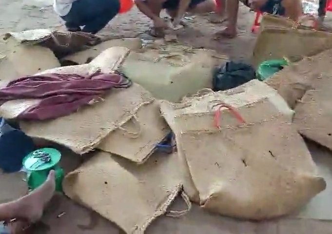 Triệt xóa trường gà giữa rừng đước, tạm giữ 170 triệu đồng -1