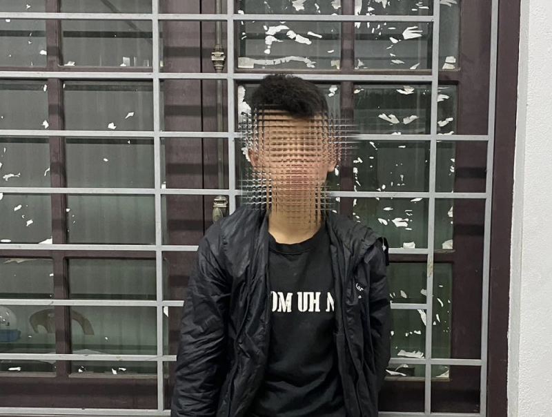 Đột nhập 7 trường học để “chôm” heo đất -0