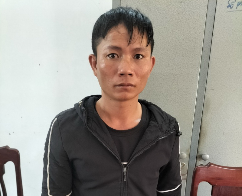 Truy bắt đối tượng lái ô tô tải từ Đăk Lăk xuống Phú Yên dắt trộm đàn bò -0
