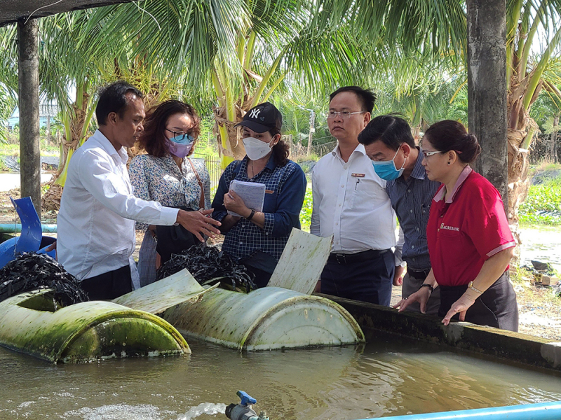 Xã Mỹ Tân Hiệu quả từ mô hình nuôi lươn không bùn  UBND CAI BE