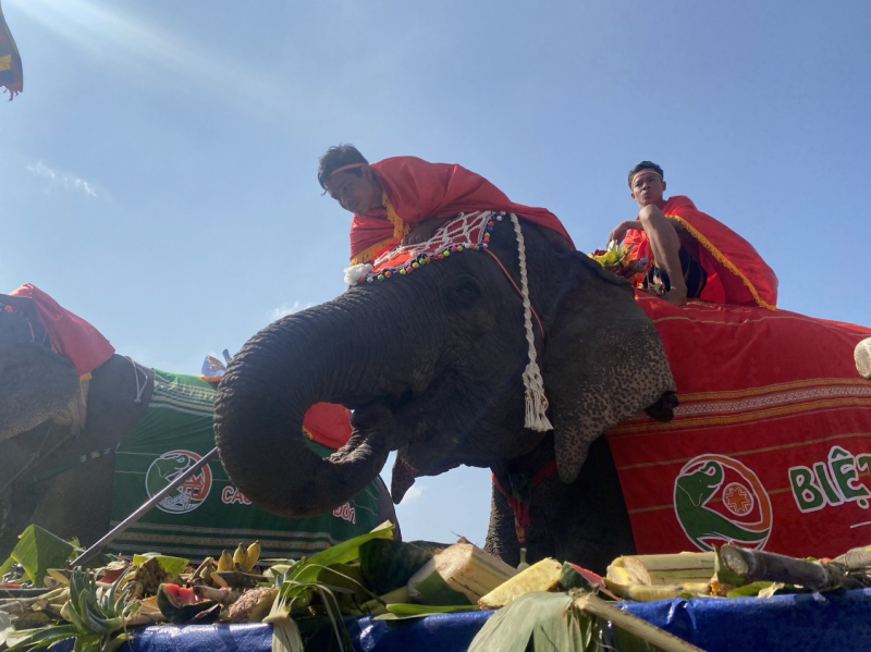 Tưng bừng Hội voi Buôn Đôn 2023 -0