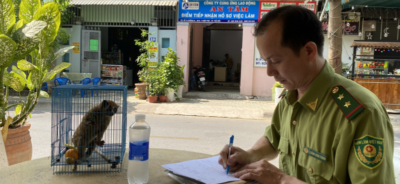 “Bỗng dưng” phát hiện cá thể culi bám trên cửa nhà -0