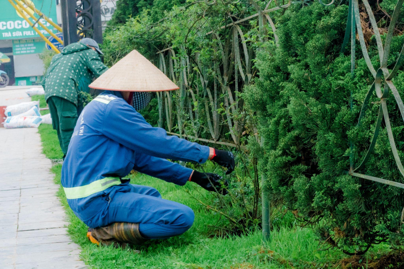 Hơn 600 tình nguyện viên dọn rác, trồng cây hướng tới kỷ niệm 120 năm Du lịch Sa Pa -0