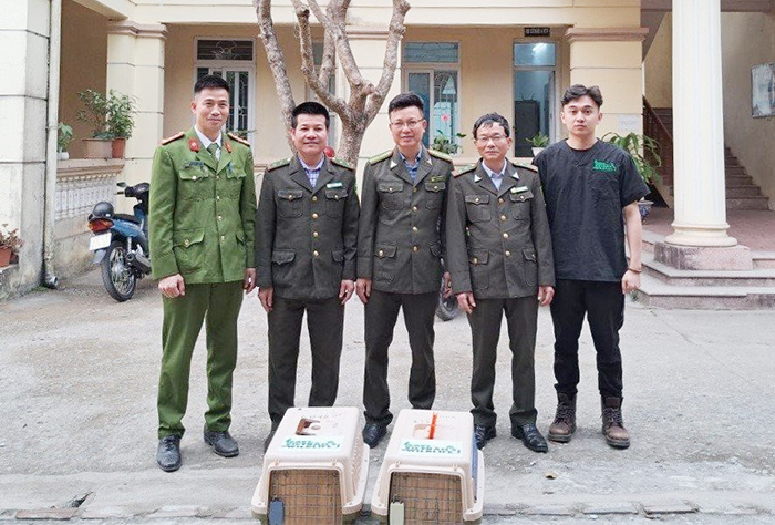 Liên tiếp cứu hộ thành công nhiều động vật hoang dã -0