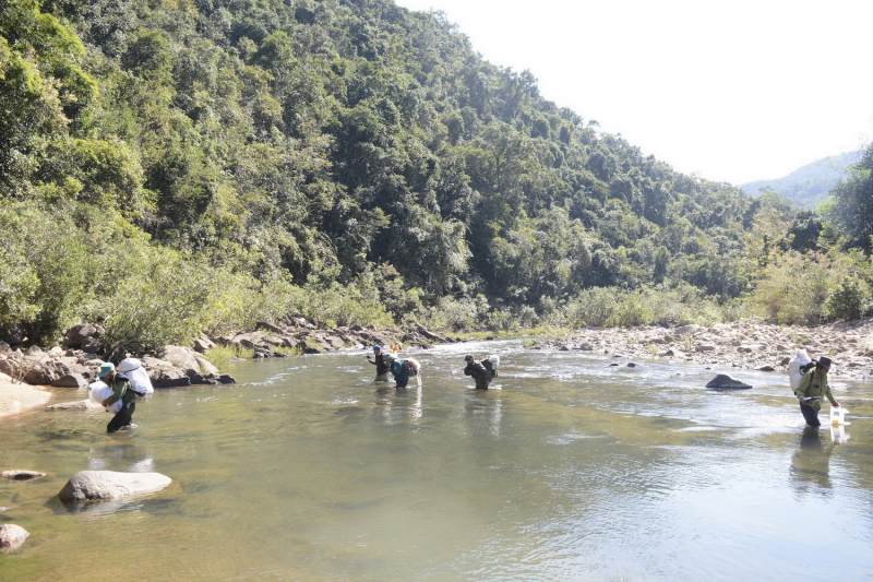 Khẩn trương bảo vệ tiềm năng voọc chà vá chân xám ở phía Tây Bắc Phú Yên -0