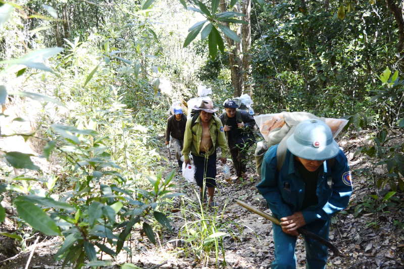Khẩn trương bảo vệ tiềm năng voọc chà vá chân xám ở phía Tây Bắc Phú Yên -0